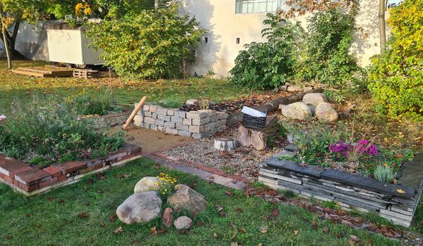 Herbst-Impression: Trittsteinbiotop (naturnah gestaltete Beete und Totholz) auf der Fläche der Ev. Luther-Kirchengemeinde Alt-Reinickendorf (Berlin-Reinickendorf)