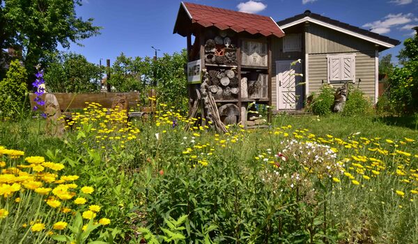 Wildbienenschaugarten Schöneweide: Eine große Nisthilfe dient vielen oberirdisch nistenden Wildbienen als Unterschlupf.