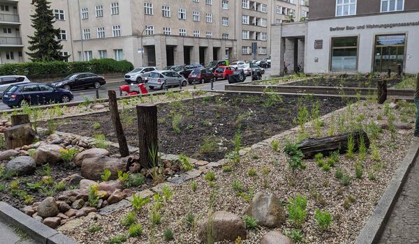 Naturnahe Firmengelände: Berliner Bau- und Wohnungsgenossenschaft von 1892 eG, Fläche nach der Umgestaltung