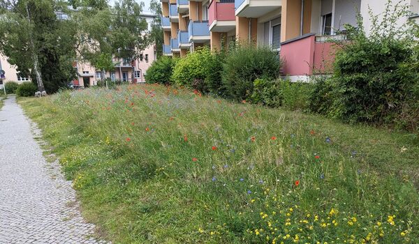 9. Berliner PikoPark (Lichterfelde)