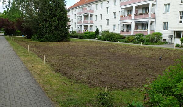 Stadtnatur: Rasen wird zur Wiese umgestaltet
