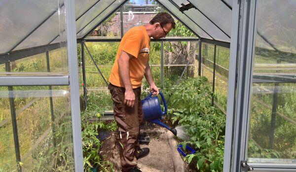 Wildbienenschaugarten Schöneweide: Ein Mitarbeiter des Schaugartens gießt Pflanzen im Gewächshaus.