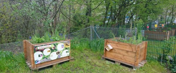 Wildbienenbuffets an der Reineke-Fuchs-Grundschule im Frühling 2021