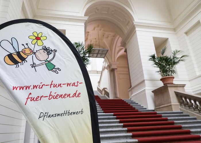 Biodiversität fördern: Im Jahr 2019 findet die Abschlussfeier zum Deutschland summt!-Pflanzwettbewerb im Abgeordnetenhaus Berlin statt.