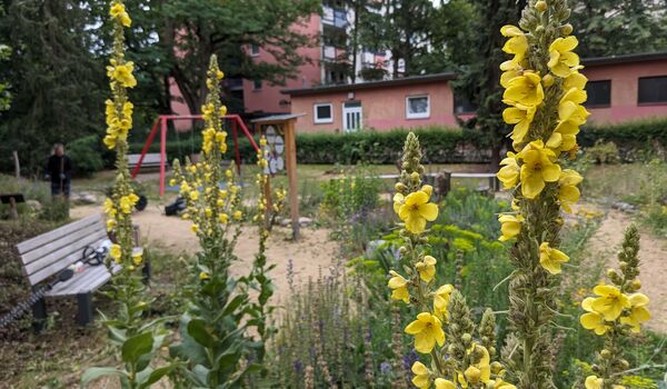 4. Berliner PikoPark: Büdnerring