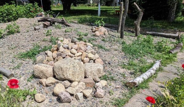 Mohnblüten, Totholz und Steine sind Bestandteile des entstehenden Trittsteinbiotops auf dem Gelände des Schul-Umwelt-Zentrums (SUZ) Berlin Mitte
