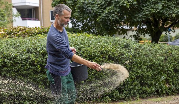 Ein Mitarbeiter des Naturgarten-Teams der Stiftung für Mensch und Umwelt verteilt Saatgut für eine naturnahe Gestaltung.