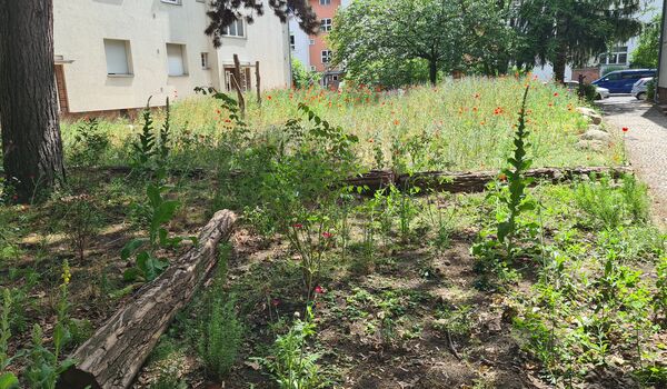 Naturnahe Fläche in Neukölln