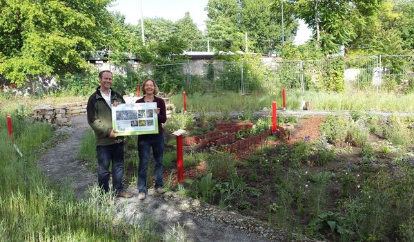 Wildbienenschaugarten Schöneweide: Farbige Infotafeln klären über den Schaugarten auf