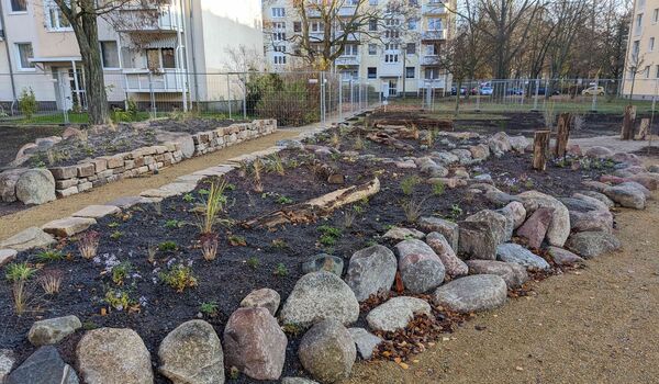 Stadtnatur: Innenhof in Berlin-Köpenick, frisch bepflanzt