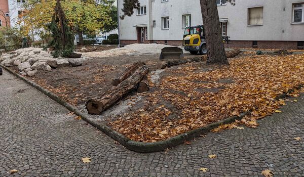 Stadtnatur: Naturnahe Umgestaltung in Berlin-Britz