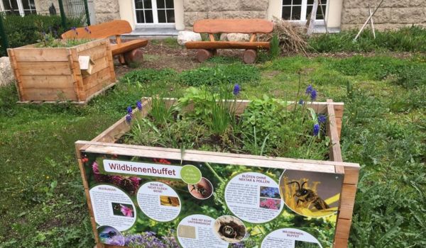 Wildbienenbuffet an der Grundschule am Stadtpark Steglitz im Frühling 2021