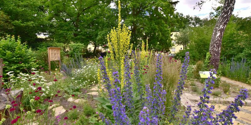 Gartenbau Planung: Dieser erste Berliner PikoPark ist ein Projekt der Stiftung für Mensch und Umwelt