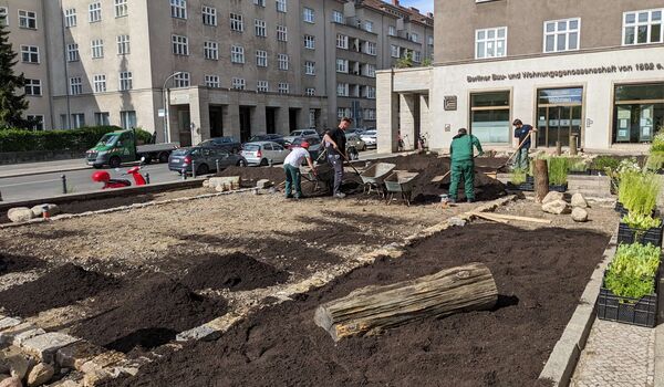 Naturnahe Firmengelände: Berliner Bau- und Wohnungsgenossenschaft von 1892 eG, Fläche während der Umgestaltung