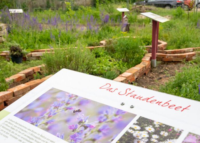 Wildbienen-Schaugarten in Berlin-Treptow; Besucherinnen und Besucher erleben hier, wie sie Biodiversität fördern können.