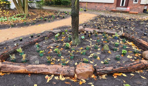 Stadtnatur: Naturnahe Umgestaltung in Berlin-Britz