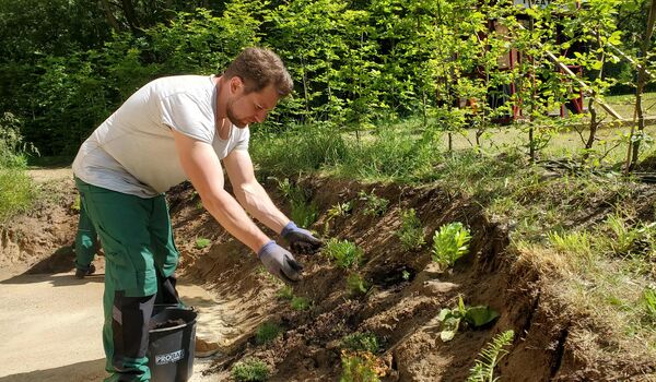 Naturnahe Firmengelände: Shakespeare in Grün GmbH
