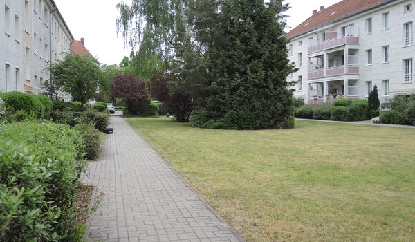 Stadtnatur: Rasen vor der naturnahen Umgestaltung