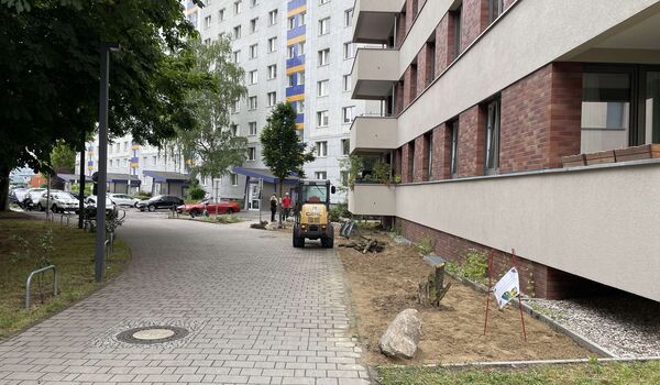 Anlage eines Trittsteinbiotops auf der Fläche der Wohnungsbaugenossenschaft „Berolina“ eG
