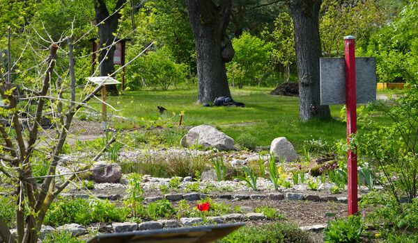 Wildbienenschaugarten Schöneweide: Farbige Infotafel klären über die Besonderheiten im Garten auf