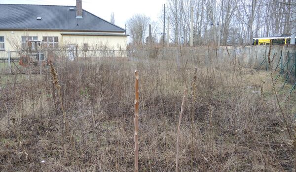 Wildbienenschaugarten Schöneweide: Impression vor dem Bau des Schaugartens