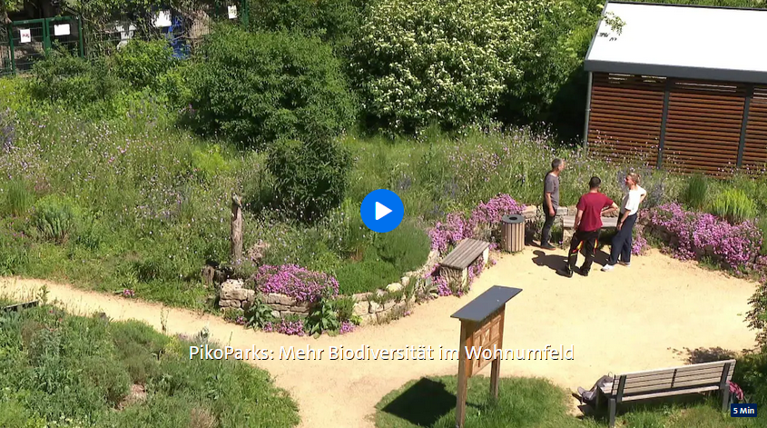 RBB Gartenzeit 14.06.2026